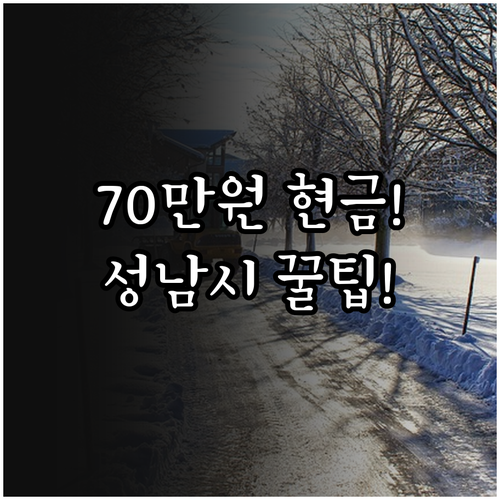 성남시 2025년 북한이탈주민 초기 ..