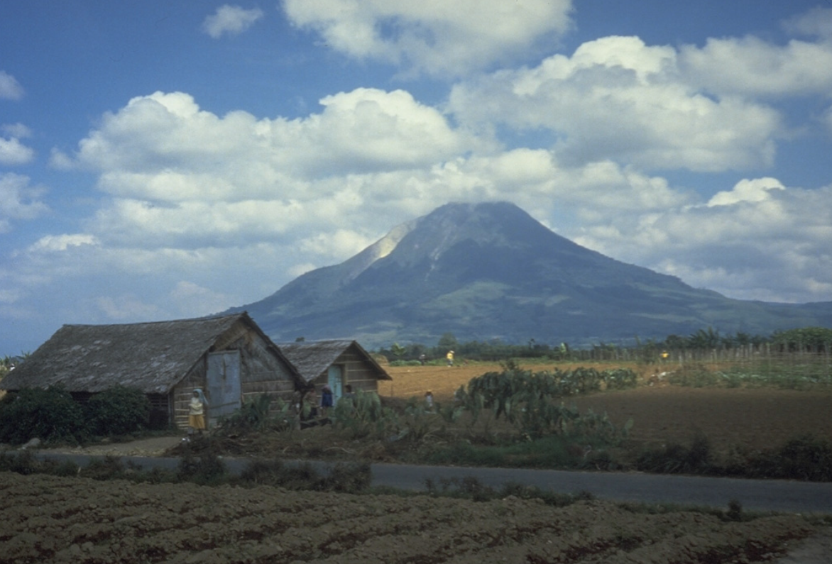 온탁산, 시나붕산의 전경