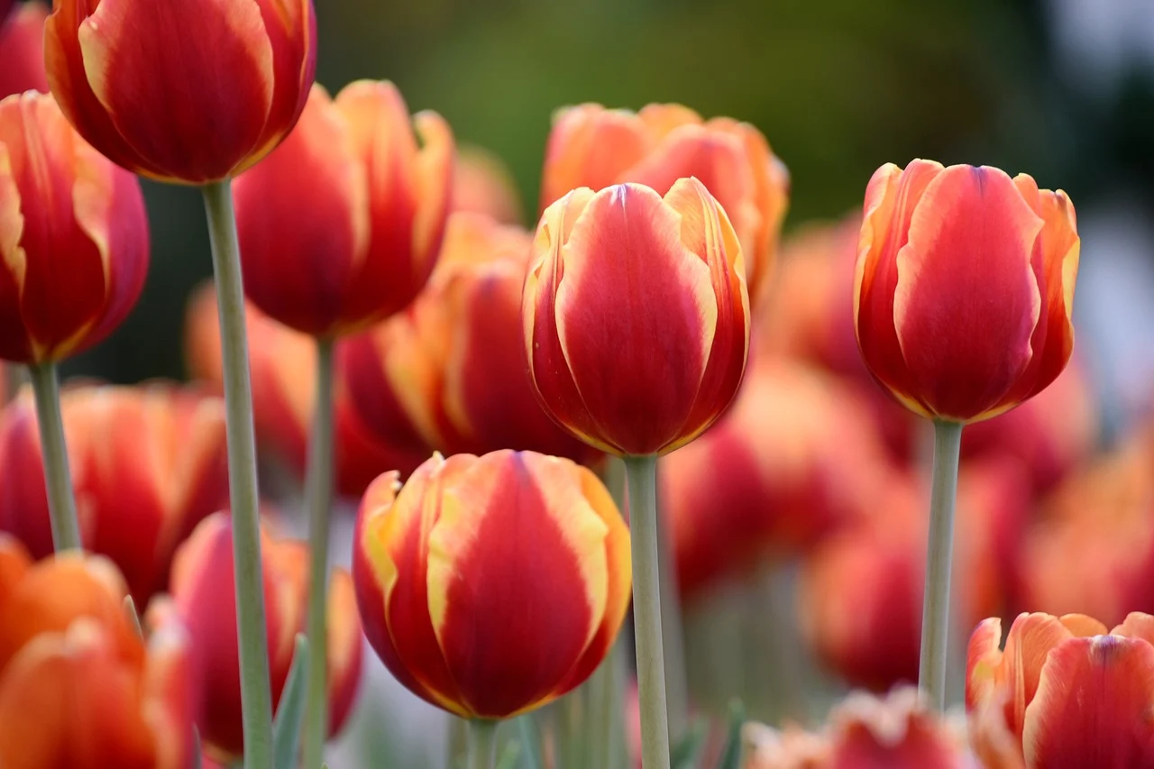 비 오는 날 가기 좋은 곳