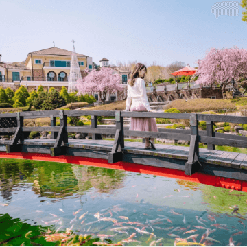 베어트리 파크 봄꽃축제와 관련된 사진