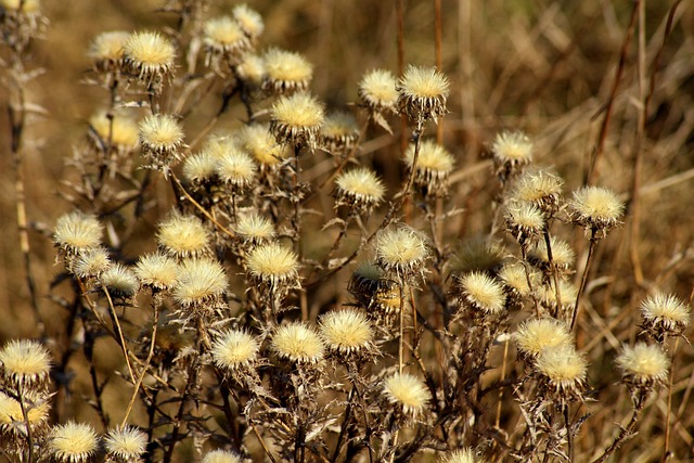 설날 연휴 날씨 전망 일기 예보 다음 주 날씨2