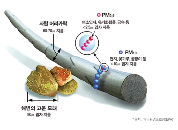 미세먼지, 초미세먼지, PM2.5 미세먼지란?