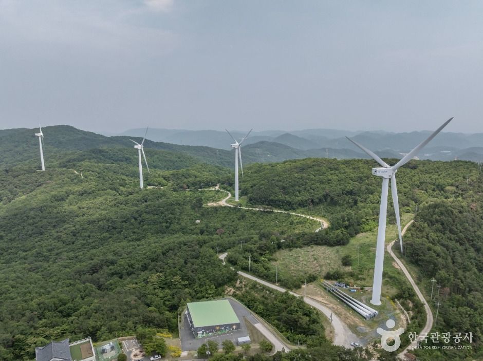 경주 바람의 언덕