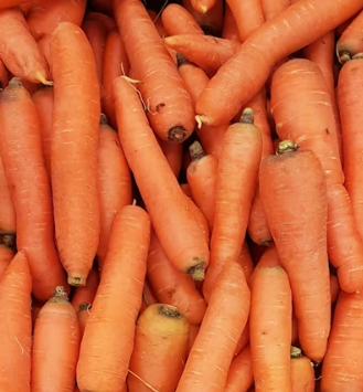 당근 효능 부작용 고르는법 칼로리