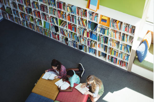 youth library zone