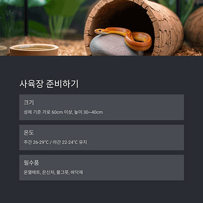 사육장 준비 – 온도와 공간이 핵심