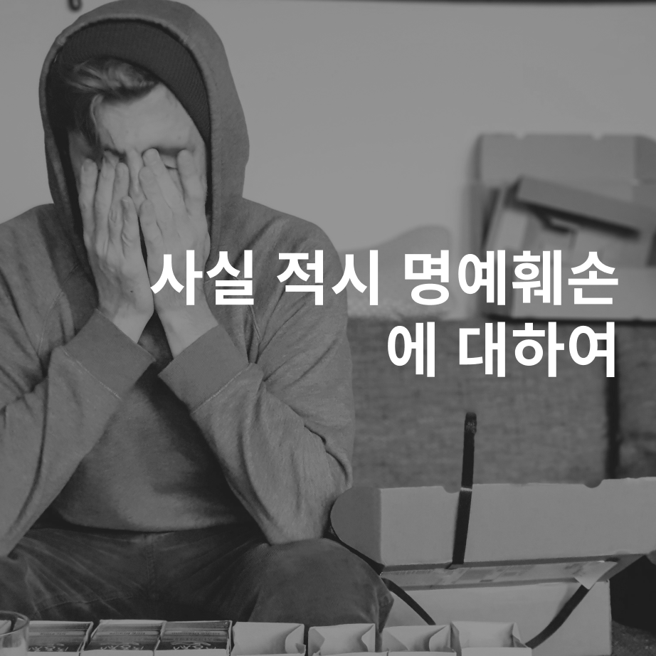 사실 적시 명예훼손