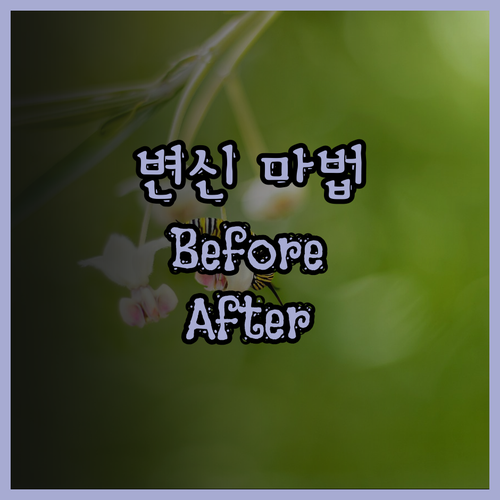 놀라운 변화, 뷰티 시술 영상 제작으