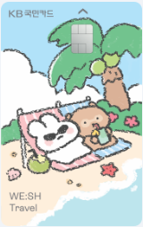 트래블 카드 비교