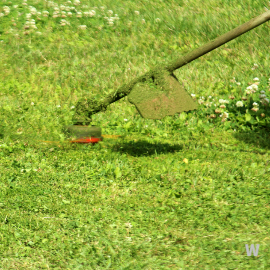 벌초 대행 서비스 사진4 