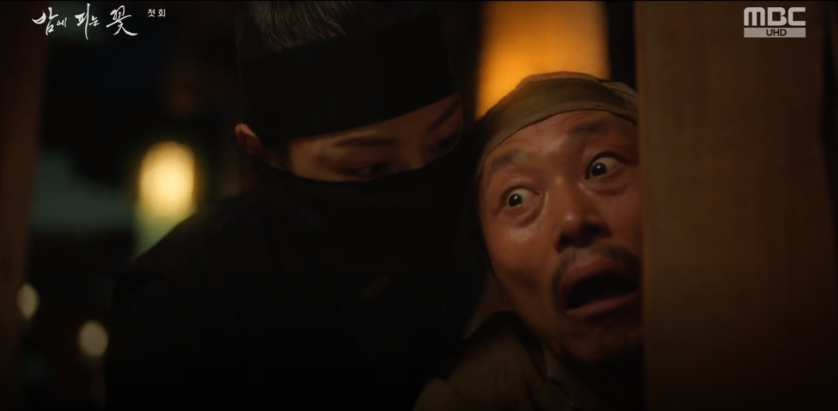 밤에 피는 꽃