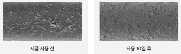 바이오틴 탈모샴푸