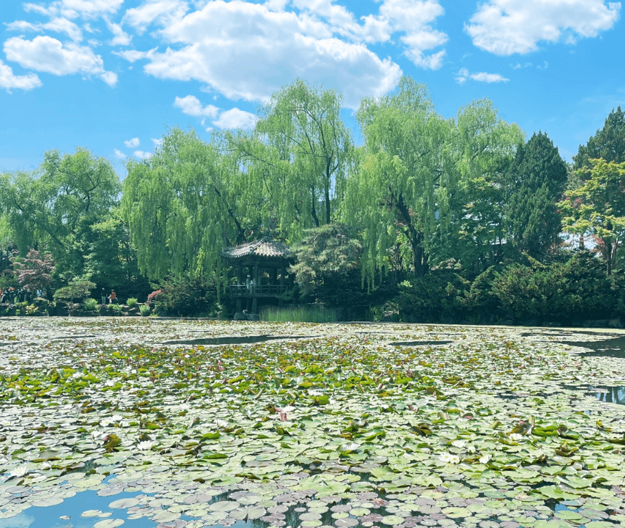 2023 파주 벽초지수목원 백만송이 봄꽃축제