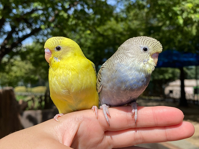 순천만국가정원 어린이 동물원 서문 순천여행 24년 11월 사진