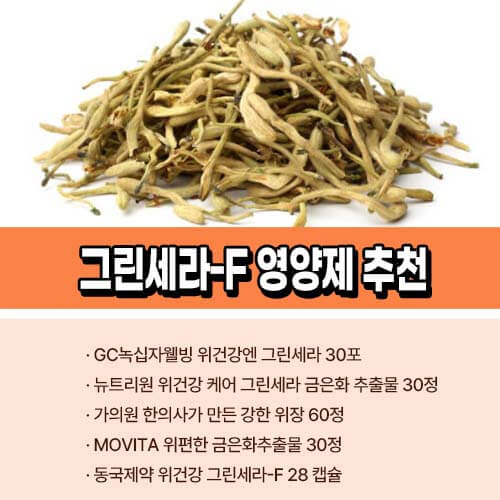 그린세라-F_추천