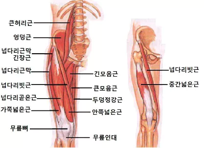 무릎-관절염에-좋은-운동-주의사항