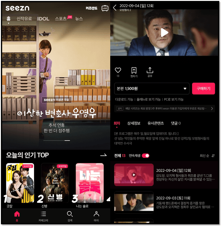 시즌-모범형사2-13회-14회-재방송-보러가기