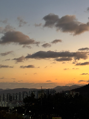 감정 소모 없이 사는 방법