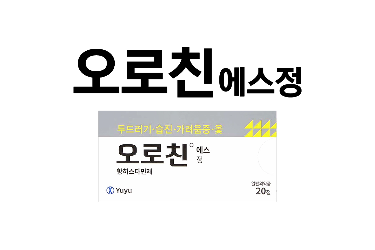 오로친에스정 가격 효능 효과 부작용 두드러기 습진 가려움증 옻 항히스타민제 알레르기약