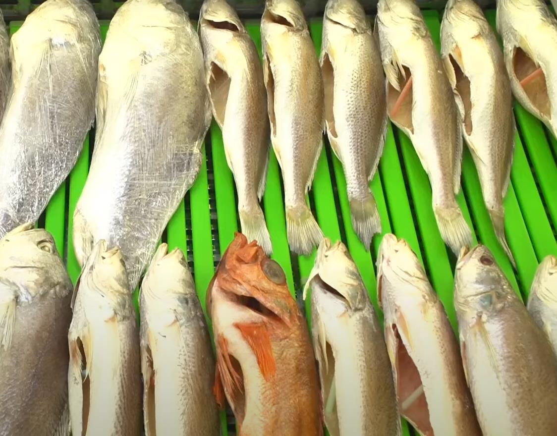 6시내고향 궁평항해오름시장 반건조생선 간장게장 잘 말려진 반건조생선들