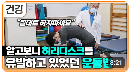 허리통증 운동법 동영상