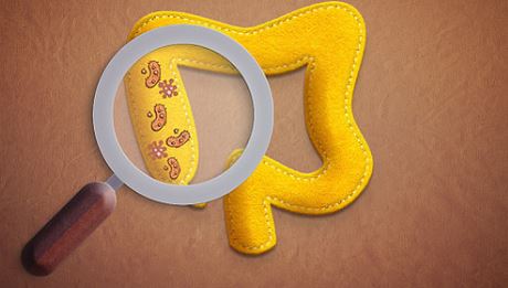 아시도필루스 유산균