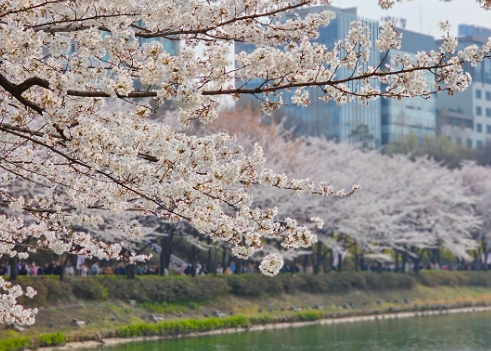 2024년도 4월 축제 BEST 9곳 정리