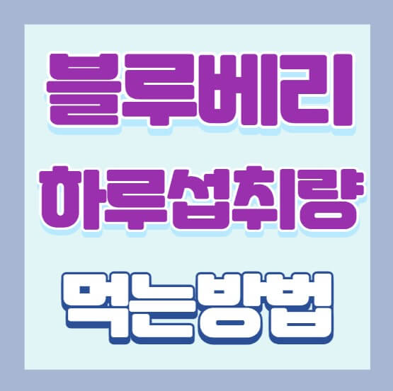 블루베리-하루섭취량-먹는법