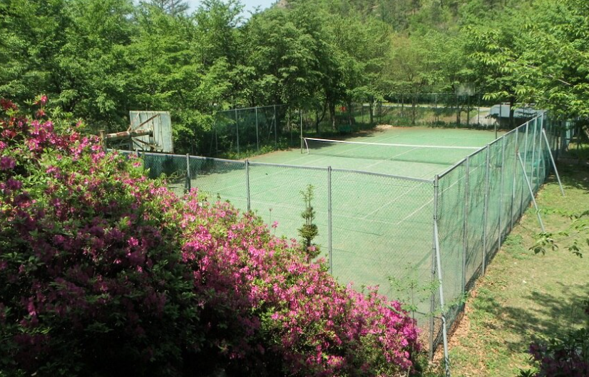 고산 자연휴양림 예약 평상 정자 물놀이 계곡 오토캠핑장 숙박 시설