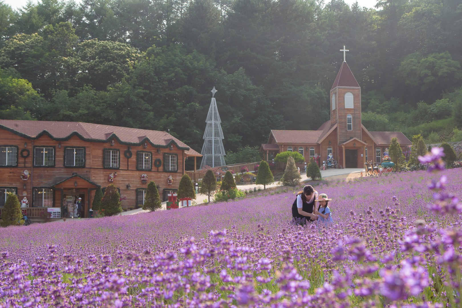 허브아일랜드 라데봄축제