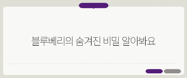 블루베리 효능 20배로 제대로 뽑아먹기! 부작용은?