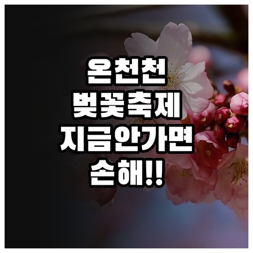 연제구 벚꽃길 산책 코스와 온천천 축..