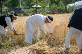 2024 증평 장뜰 들노래 축제 기본일정과 프로그램 정리