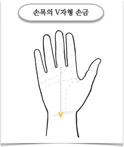 손목에 있는 V자형 손금 만들기