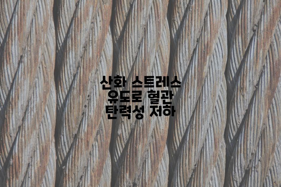 산화 스트레스 유도로 혈관 탄력성 저하