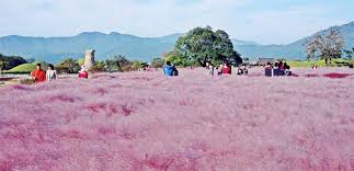 10월 1일 임시공휴일