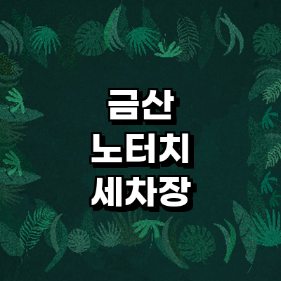 금산군 노터치 세차