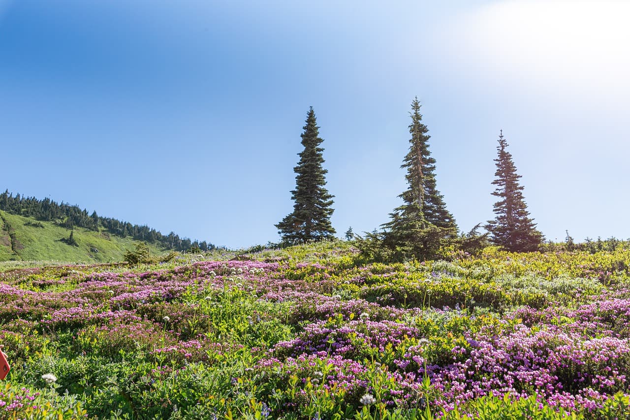 100일 동안 하루 한 문장씩 일기 쓰기 &ndash; 생각 정리 습관 만들기