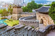 벚꽃 구경 준비! 2025년 벚꽃 개화시기와 국내 벚꽃 TOP 5 