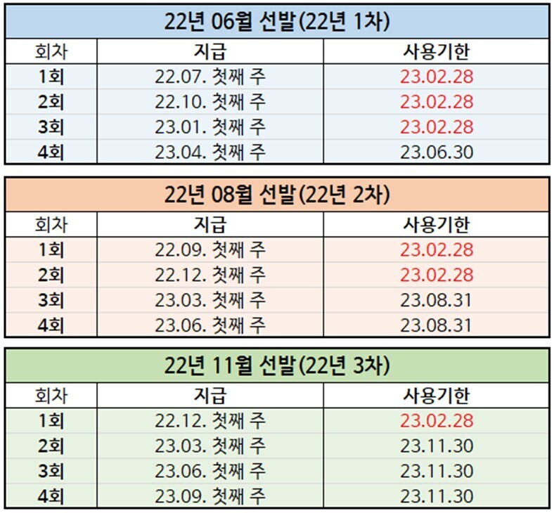 청년 복지포인트 지급시기 및 사용기한 안내