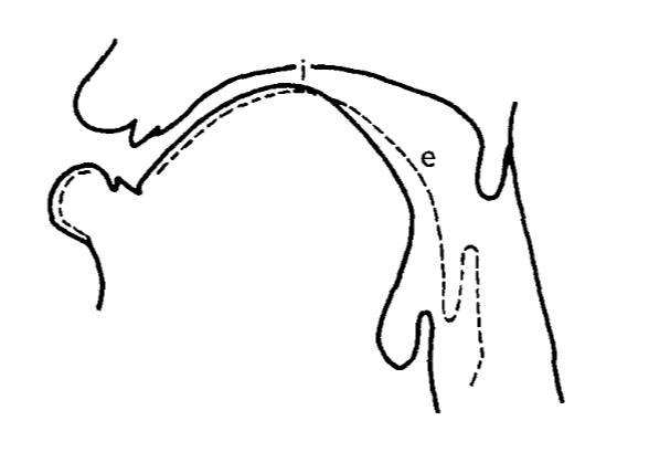 Closer look at i-e distinction