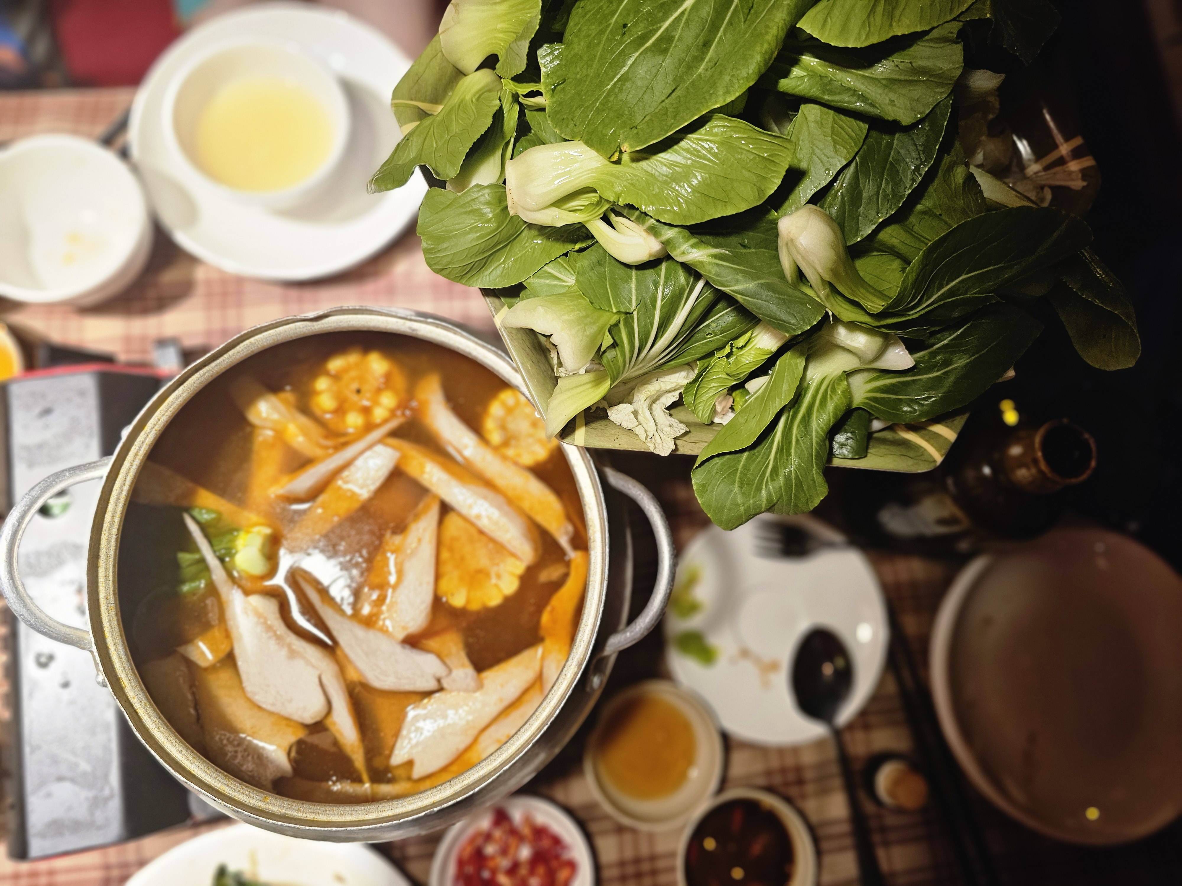 베트남 사파 철갑상어 핫팟