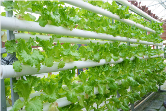 공익직불금 의무교육 신청