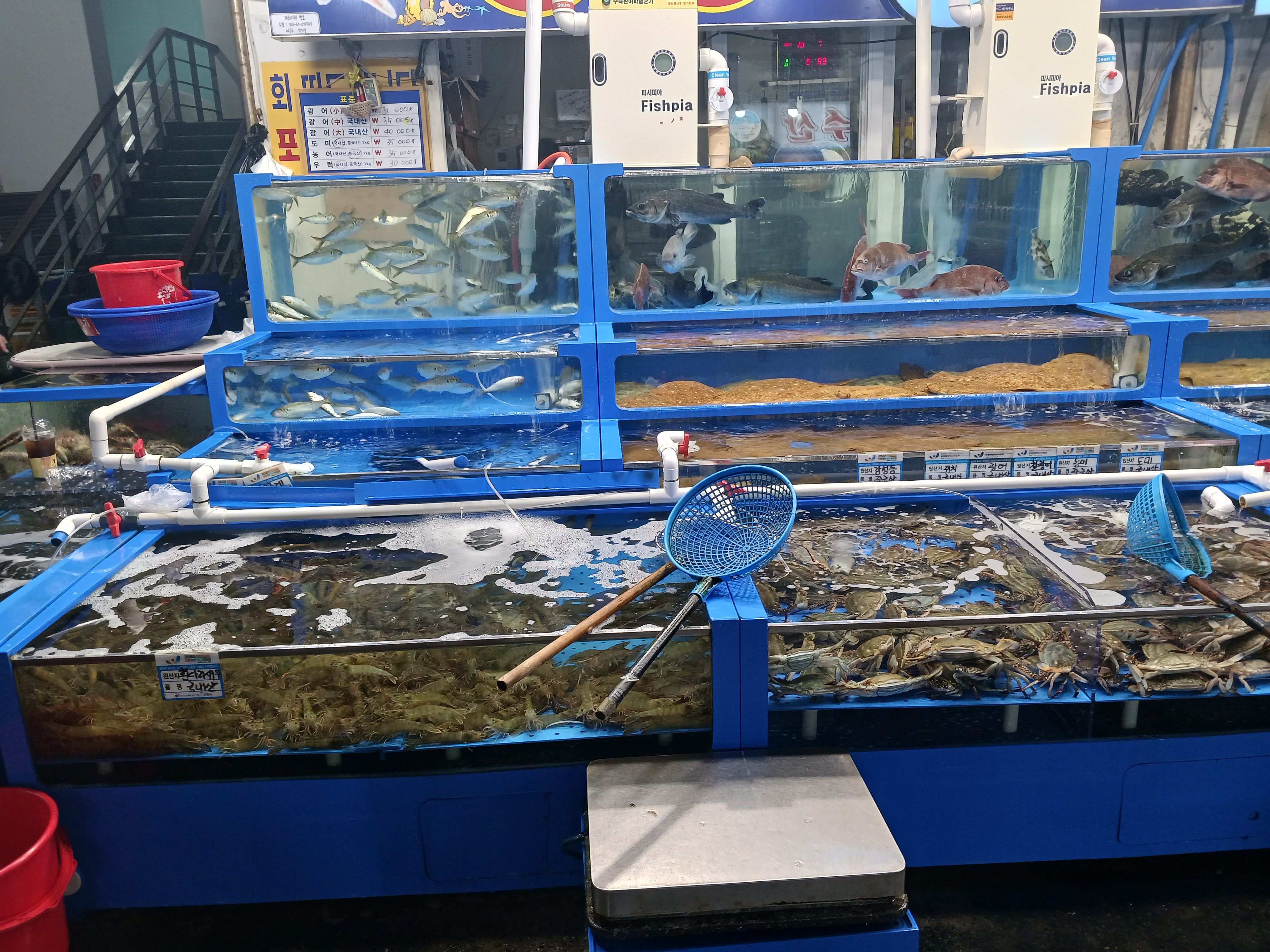 대천항수산시장