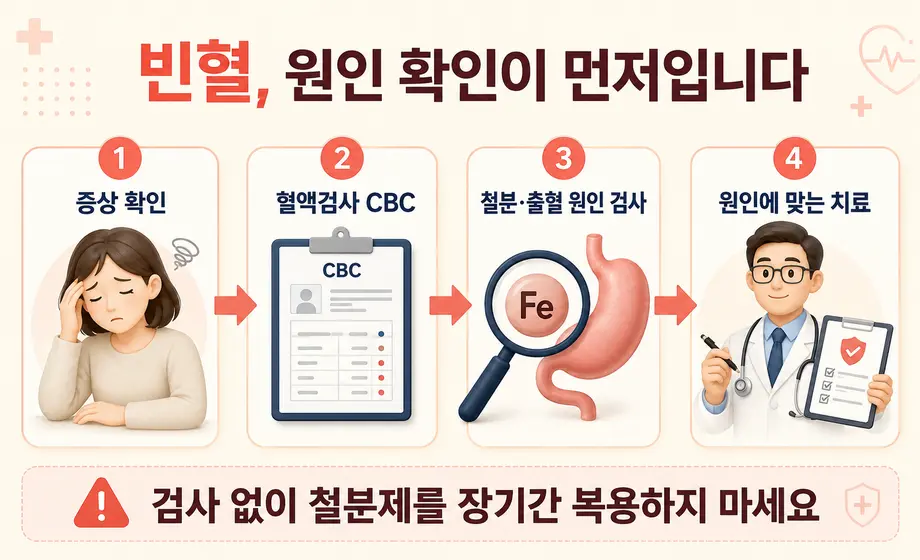 빈혈 증상 확인과 CBC 혈액검사, 원인 검사, 원인별 치료 과정 4단계