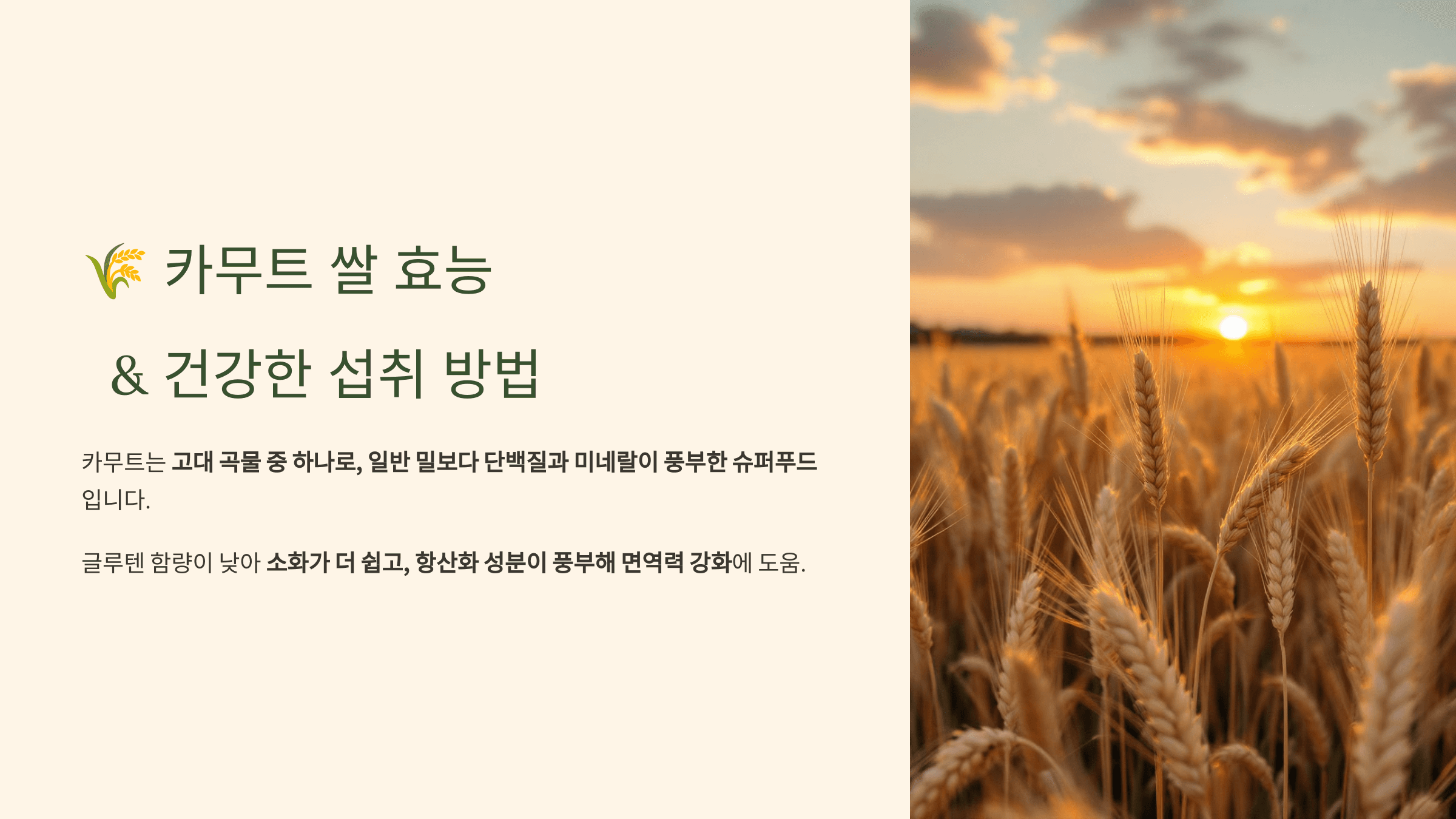 카무트 쌀 사진입니다.