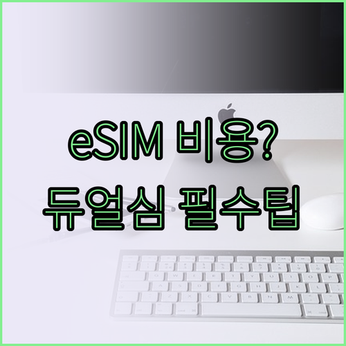 eSIM 재발급 비용과 듀얼심 사용 ..