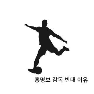 홍명보감독반대이유