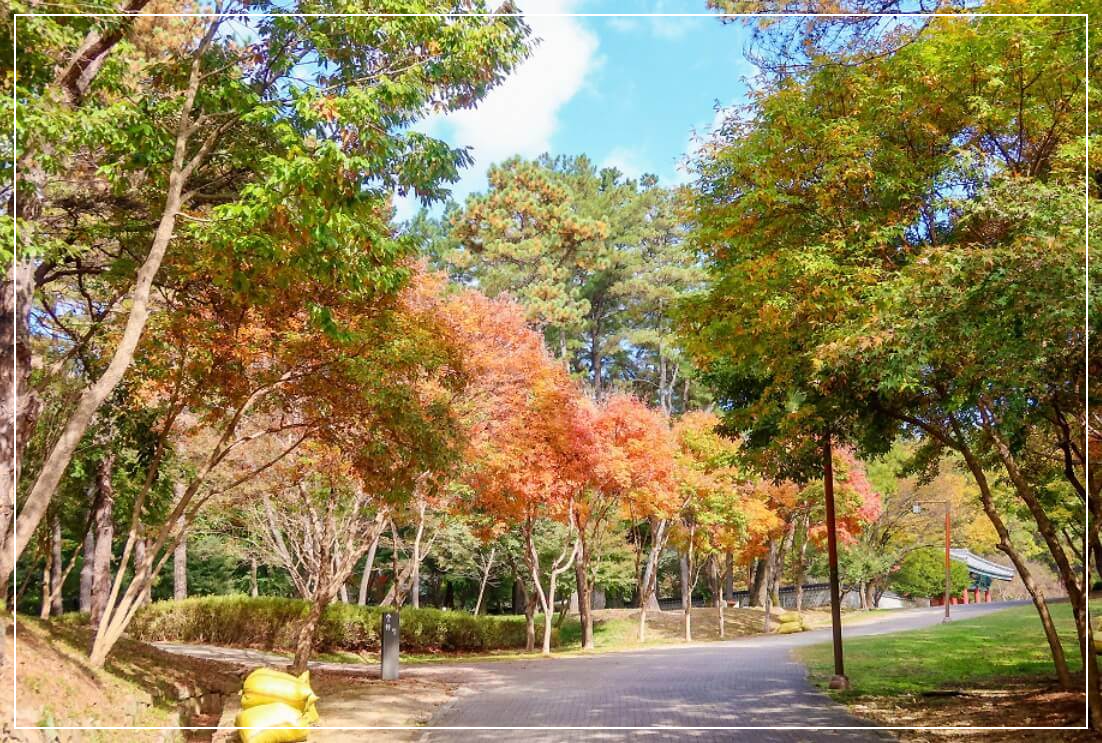 부여 가볼만한곳 베스트10 고란사