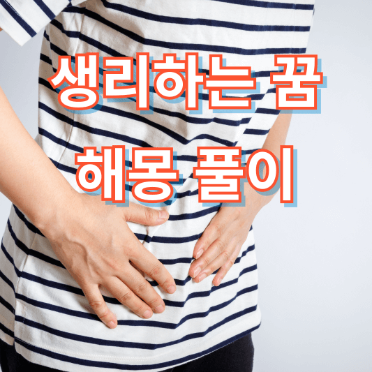 생리하는 꿈해몽
